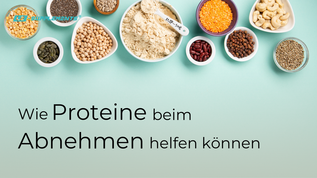 Blog Titelbild - Proteine beim abnehmen-Darstellung verschiedener Proteinquellen