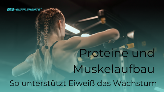 Blog Titelbild - Proteine und Muskelaufbau